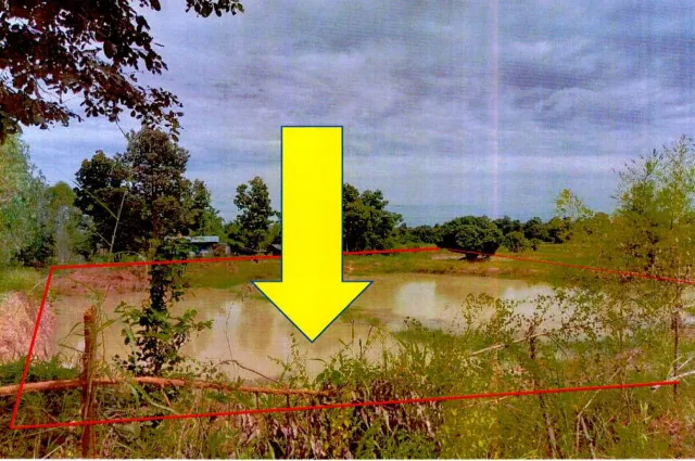 ขายทอดตลาด ที่ดินว่างเปล่า ต.แวงน่าง อ.เมืองมหาสารคาม จ.มหาสารคาม