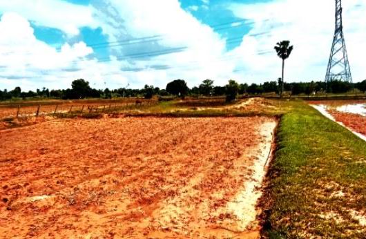 ขายทอดตลาด ที่ดินว่างเปล่า ต.กุดรัง อ.กุดรัง จ.มหาสารคาม