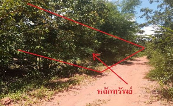 ขายทอดตลาด ที่ดินว่างเปล่า ต.แคน อ.วาปีปทุม จ.มหาสารคาม
