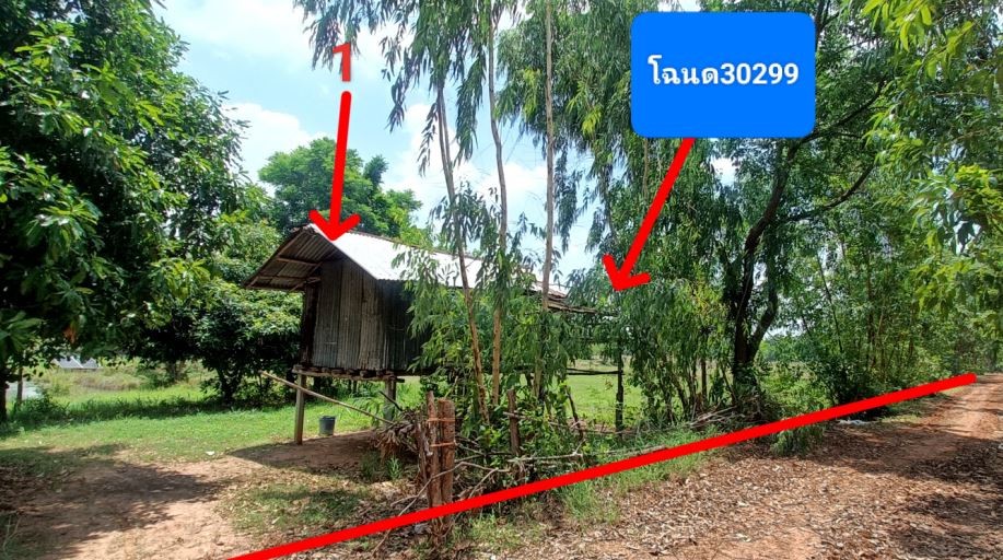 ขายทอดตลาด ที่ดินพร้อมสิ่งปลูกสร้าง ต.นาสีนวล อ.พยัคฆภูมิพิสัย จ.มหาสารคาม