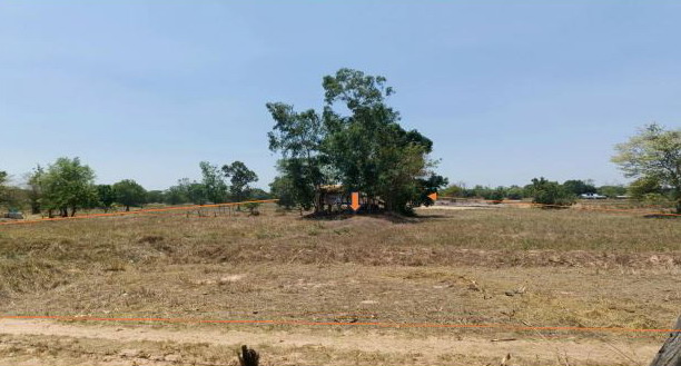 ขายทอดตลาด ที่ดินว่างเปล่า ต.ดงใหญ่ อ.วาปีปทุม จ.มหาสารคาม