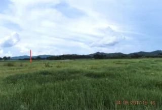 รูปทรัพย์ 2