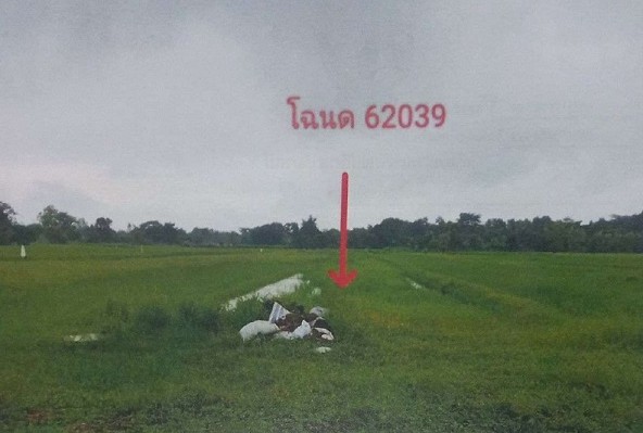 ขายทอดตลาด ที่ดินว่างเปล่า ต.นาสีนวน อ.กันทรวิชัย จ.มหาสารคาม