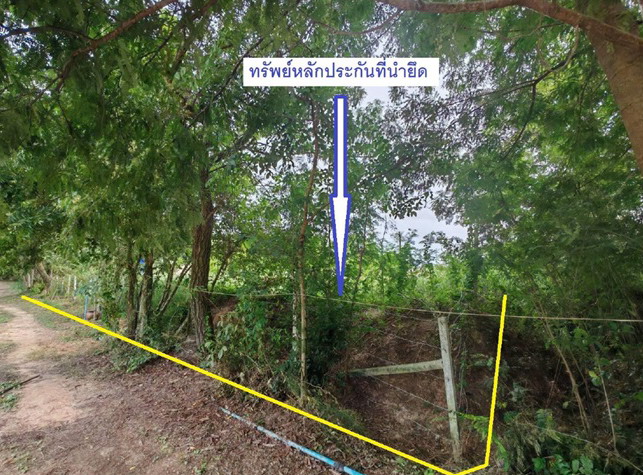 ขายทอดตลาด ที่ดินว่างเปล่า ต.แวงน่าง อ.เมืองมหาสารคาม จ.มหาสารคาม