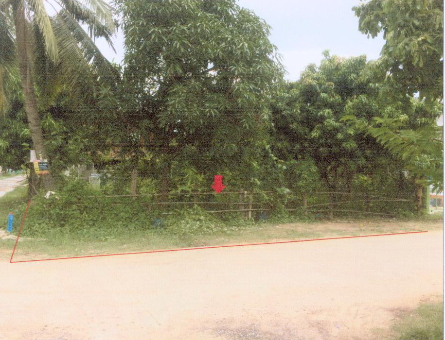 ขายทอดตลาด ที่ดินว่างเปล่า ต.วังไชย อ.บรบือ จ.มหาสารคาม
