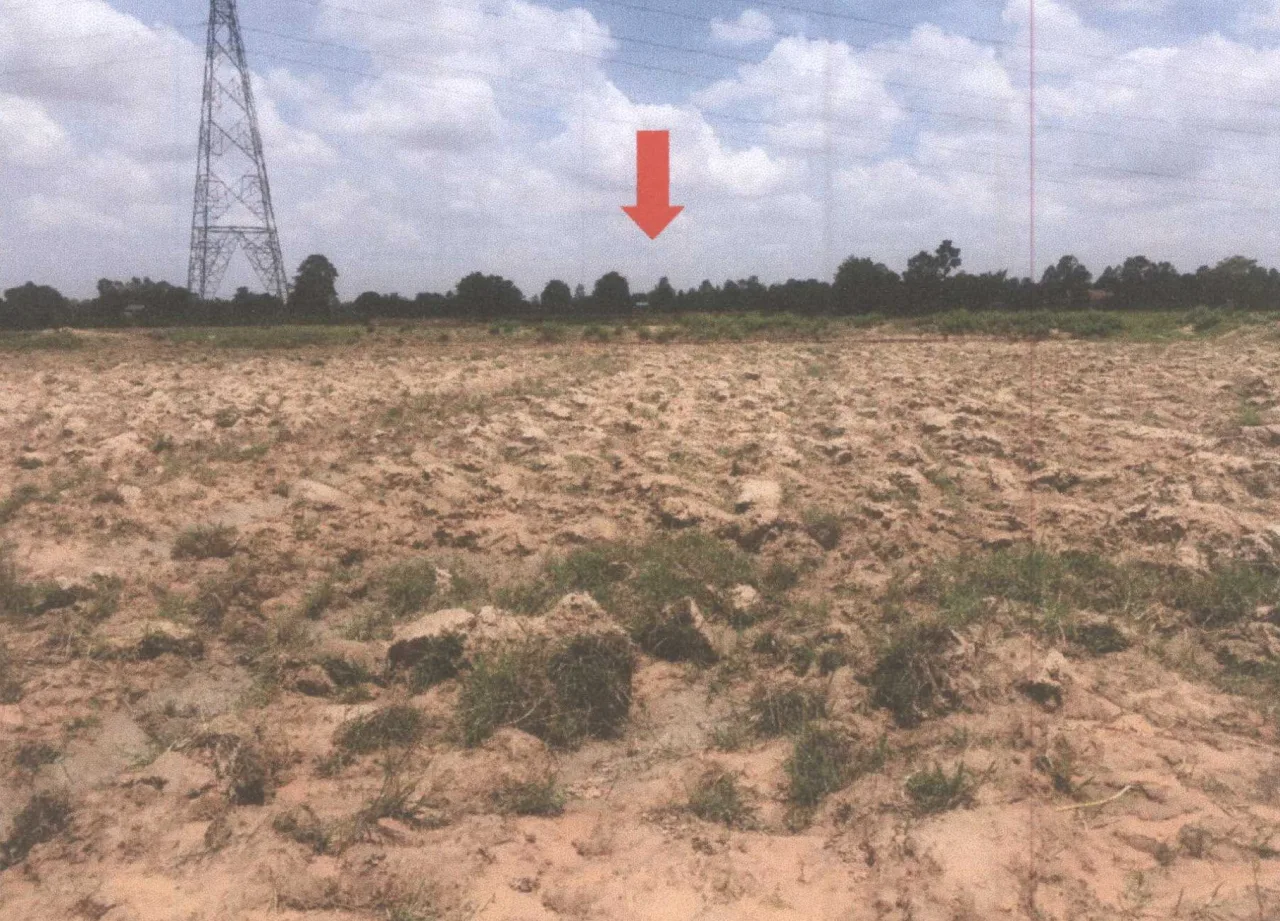 ขายทอดตลาด ที่ดินว่างเปล่า ต.แวงน่าง อ.เมืองมหาสารคาม จ.มหาสารคาม
