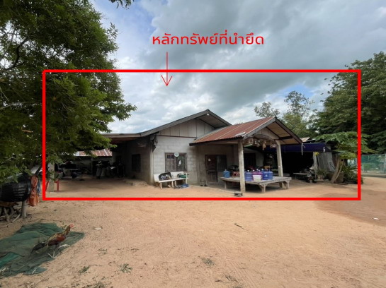 ขายทอดตลาด ที่ดินพร้อมสิ่งปลูกสร้าง ต.เขวา อ.เมืองมหาสารคาม จ.มหาสารคาม