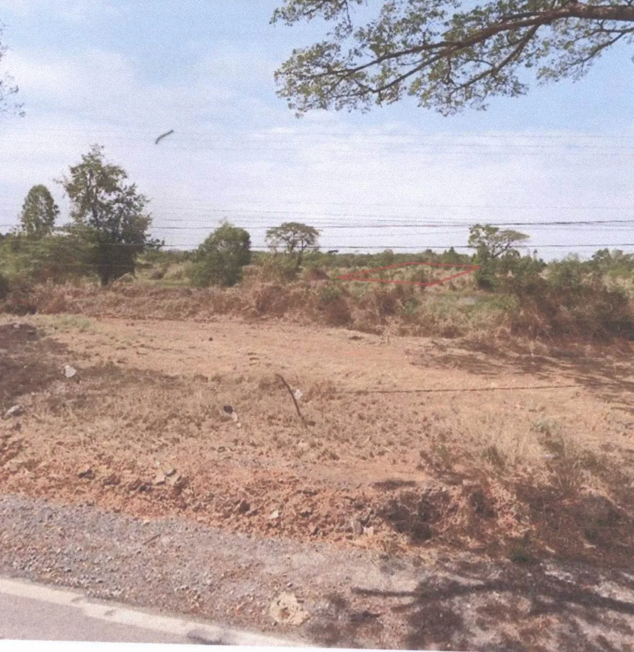 ขายทอดตลาด ที่ดินว่างเปล่า ต.ขามเรียง อ.กันทรวิชัย จ.มหาสารคาม