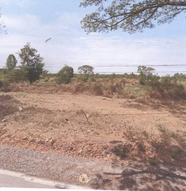 ขายทอดตลาด ที่ดินว่างเปล่า ต.ขามเรียง อ.กันทรวิชัย จ.มหาสารคาม