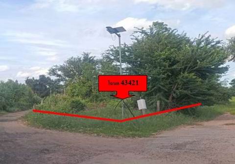 ขายทอดตลาด ที่ดินว่างเปล่า ต.ปะหลาน อ.พยัคฆภูมิพิสัย จ.มหาสารคาม