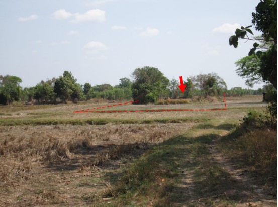 ขายทอดตลาด ที่ดินว่างเปล่า จ.ยโสธร
