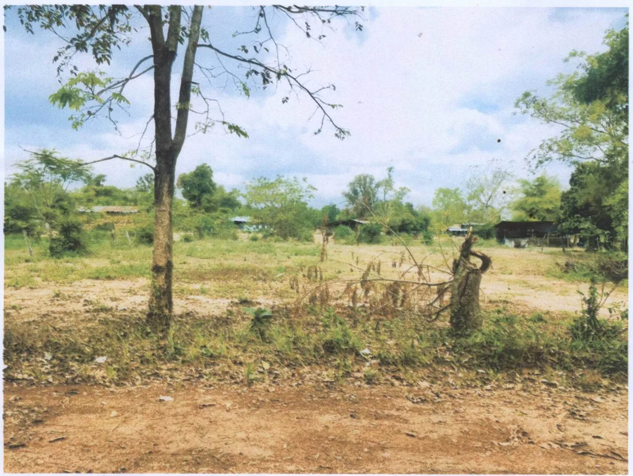ขายทอดตลาด ที่ดินว่างเปล่า จ.ยโสธร