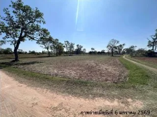 รูปทรัพย์ 2