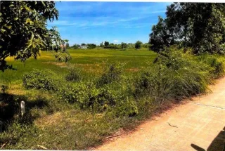 รูปทรัพย์ 1
