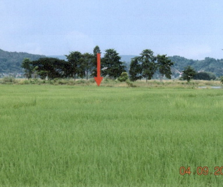 ขายทอดตลาด ที่ดินว่างเปล่า ต.ดอยลาน อ.เมืองเชียงราย จ.เชียงราย