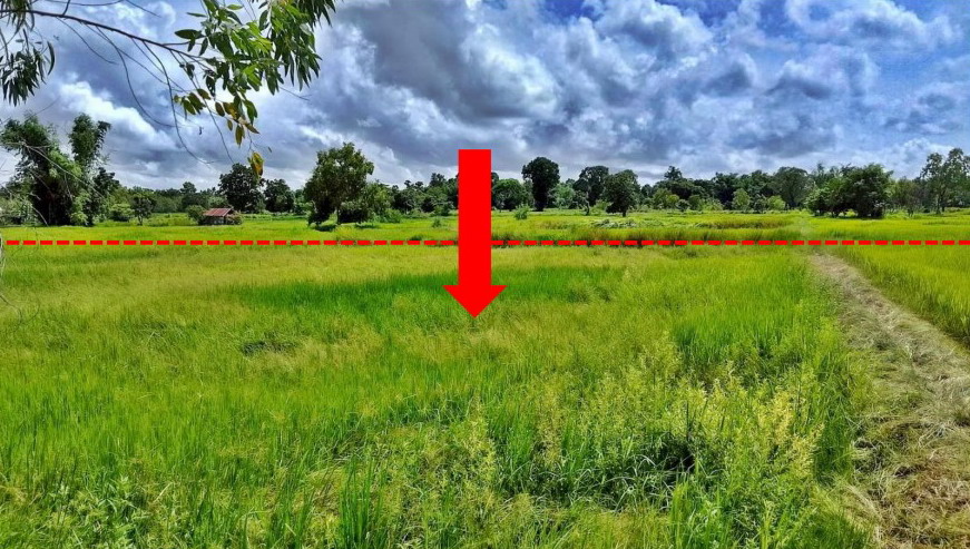 ขายทอดตลาด ที่ดินว่างเปล่า จ.ยโสธร
