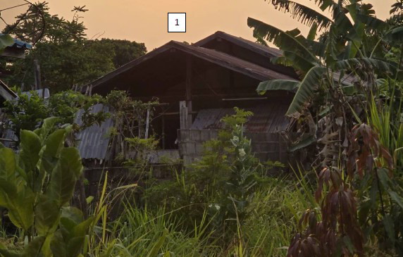 ขายทอดตลาด ที่ดินพร้อมสิ่งปลูกสร้าง ต.หนองหิน อ.เมืองยโสธร จ.ยโสธร