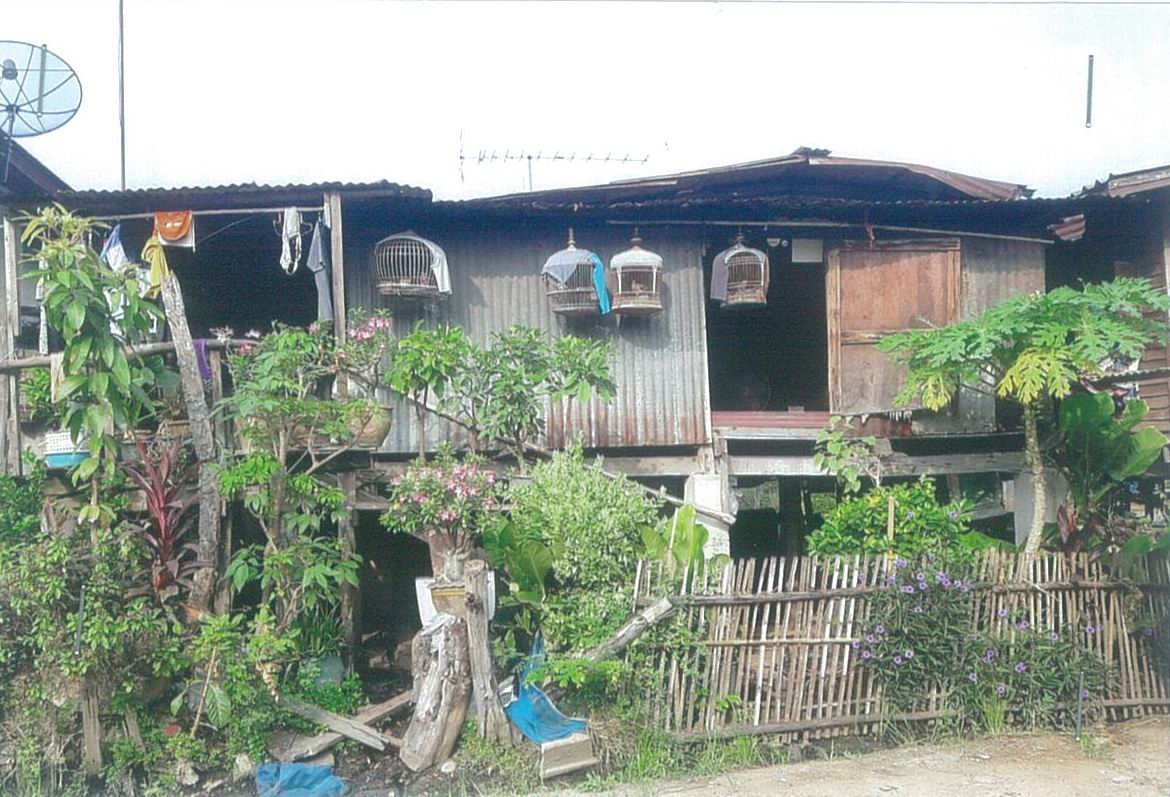 ขายทอดตลาด ที่ดินพร้อมสิ่งปลูกสร้าง ต.ตลุก อ.สรรพยา จ.ชัยนาท