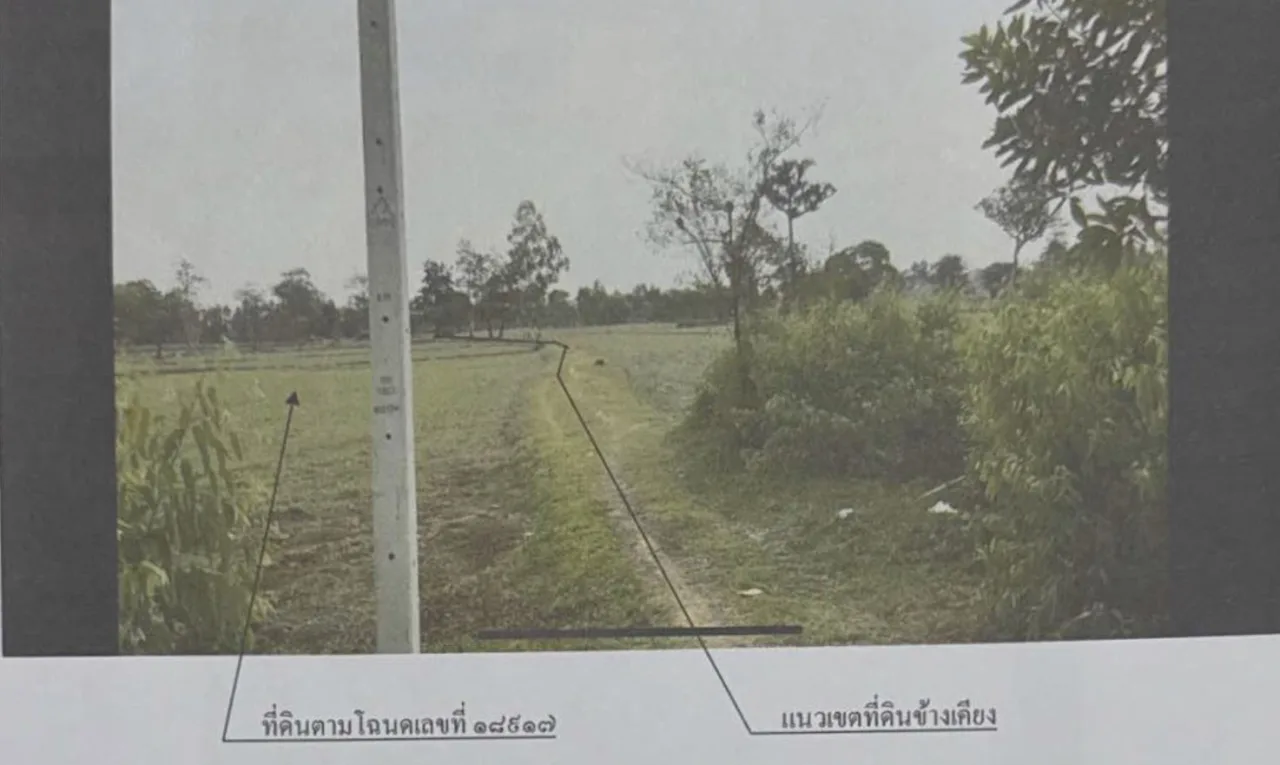 ขายทอดตลาด ที่ดินว่างเปล่า จ.ยโสธร