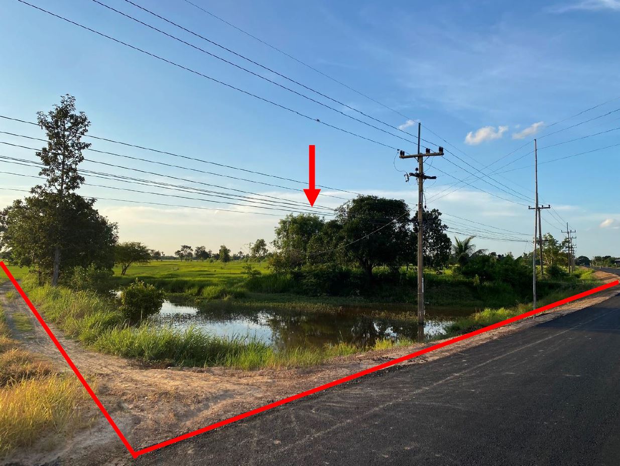 ขายทอดตลาด ที่ดินว่างเปล่า จ.ยโสธร