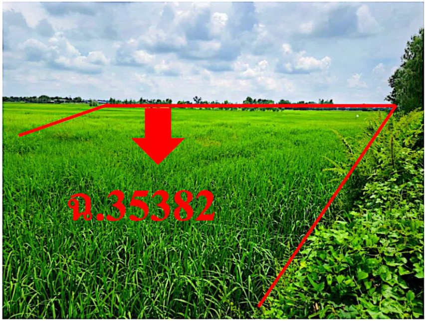 ขายทอดตลาด ที่ดินว่างเปล่า จ.ยโสธร