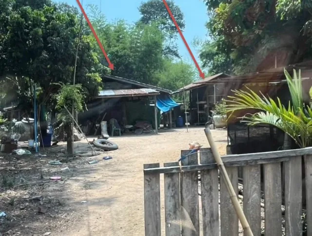 ขายทอดตลาด ที่ดินพร้อมสิ่งปลูกสร้าง ต.ค้อวัง อ.ค้อวัง จ.ยโสธร