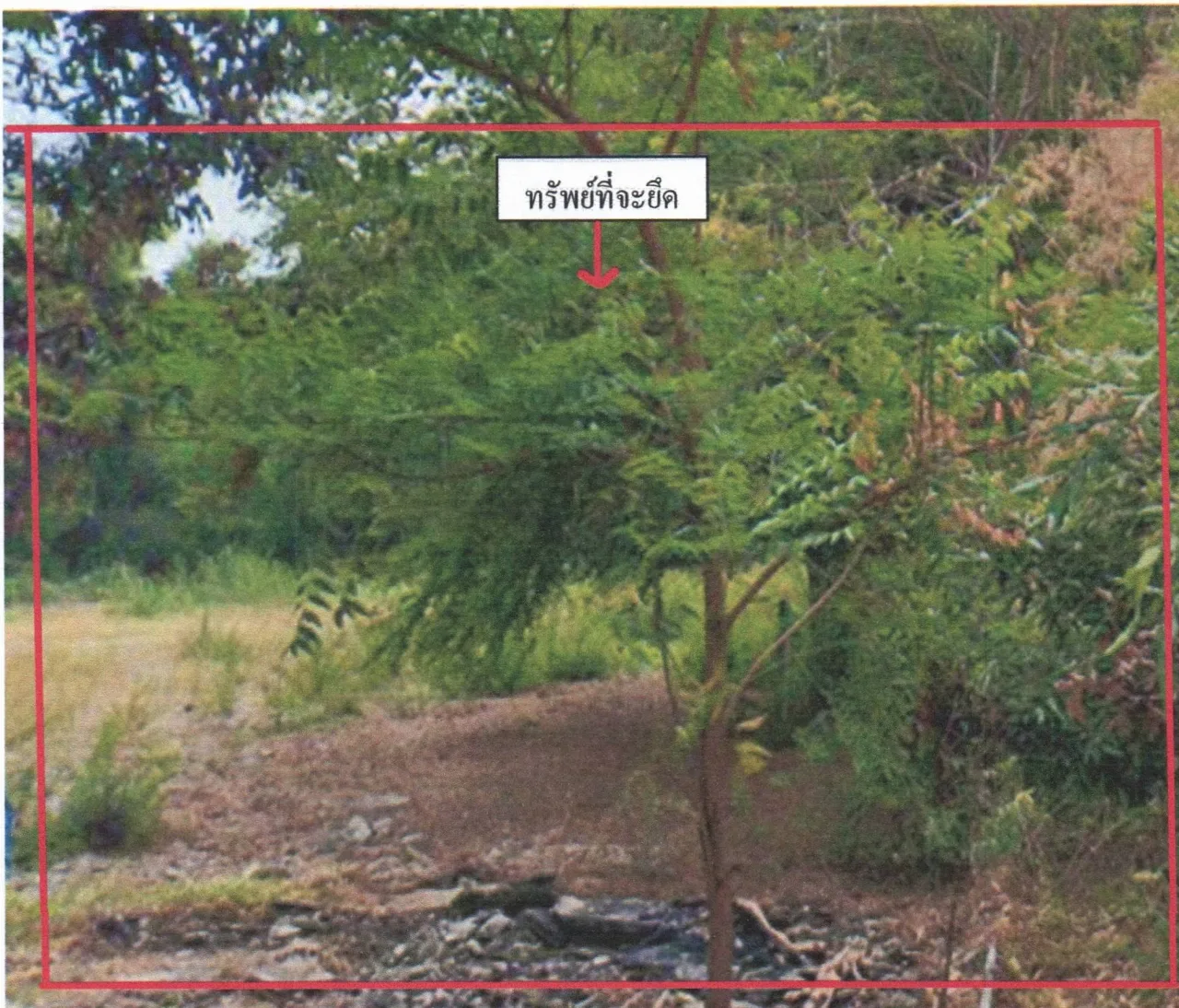 ขายทอดตลาด ที่ดินว่างเปล่า ต.พลับพลาไชย อ.อู่ทอง จ.สุพรรณบุรี