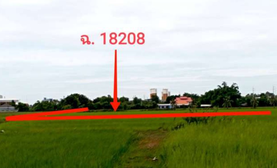 ขายทอดตลาด ที่ดินว่างเปล่า ต.สามชุก อ.สามชุก จ.สุพรรณบุรี