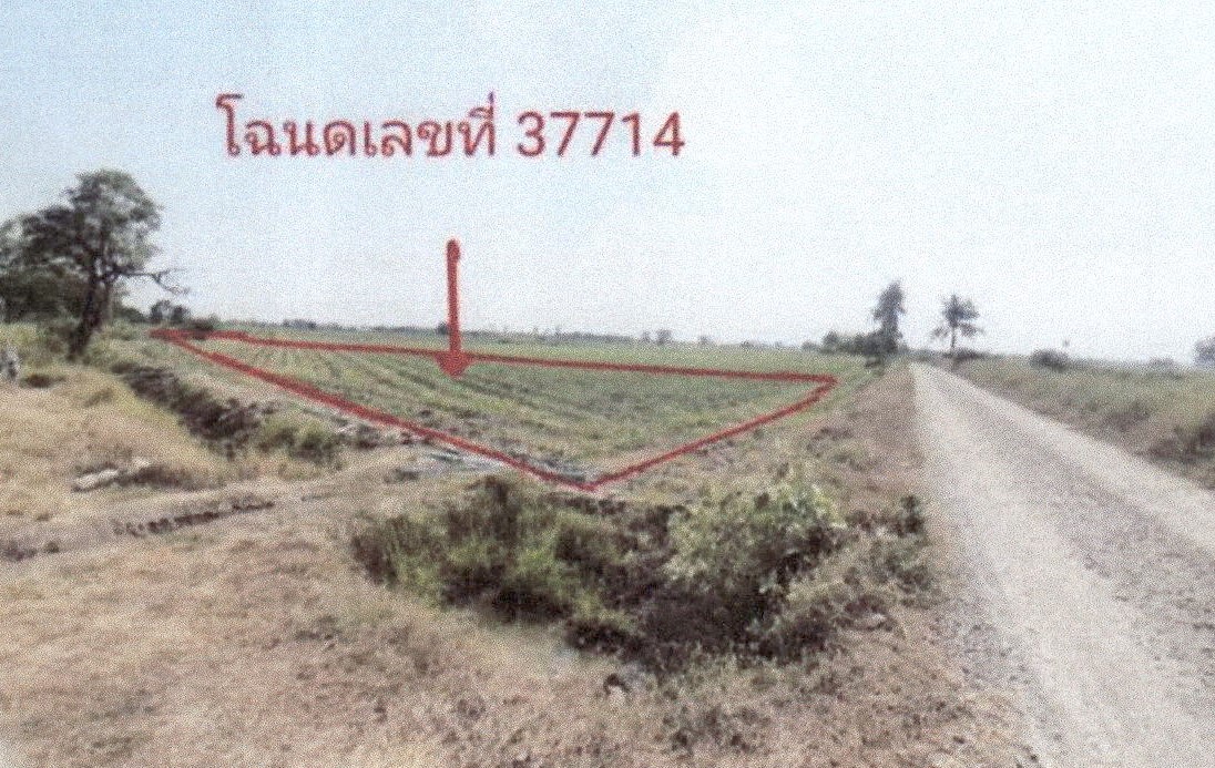 ขายทอดตลาด ที่ดินว่างเปล่า ต.โคกช้าง อ.เดิมบางนางบวช จ.สุพรรณบุรี