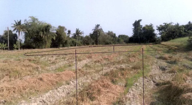 ขายทอดตลาด ที่ดินว่างเปล่า ต.หนองผักนาก อ.สามชุก จ.สุพรรณบุรี