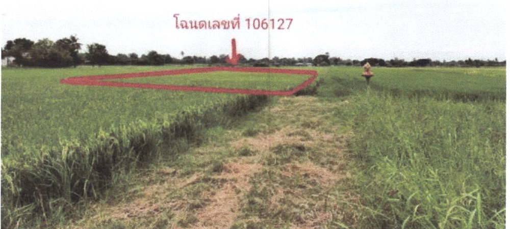 ขายทอดตลาด ที่ดินว่างเปล่า ต.ตลิ่งชัน อ.เมืองสุพรรณบุรี จ.สุพรรณบุรี