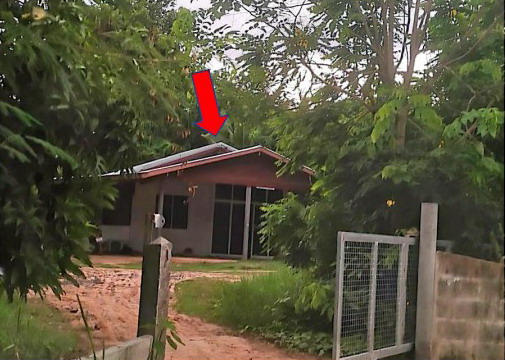 ขายทอดตลาด ที่ดินพร้อมสิ่งปลูกสร้าง ต.ม่วง อ.มหาชนะชัย จ.ยโสธร