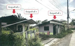 รูปทรัพย์ 2
