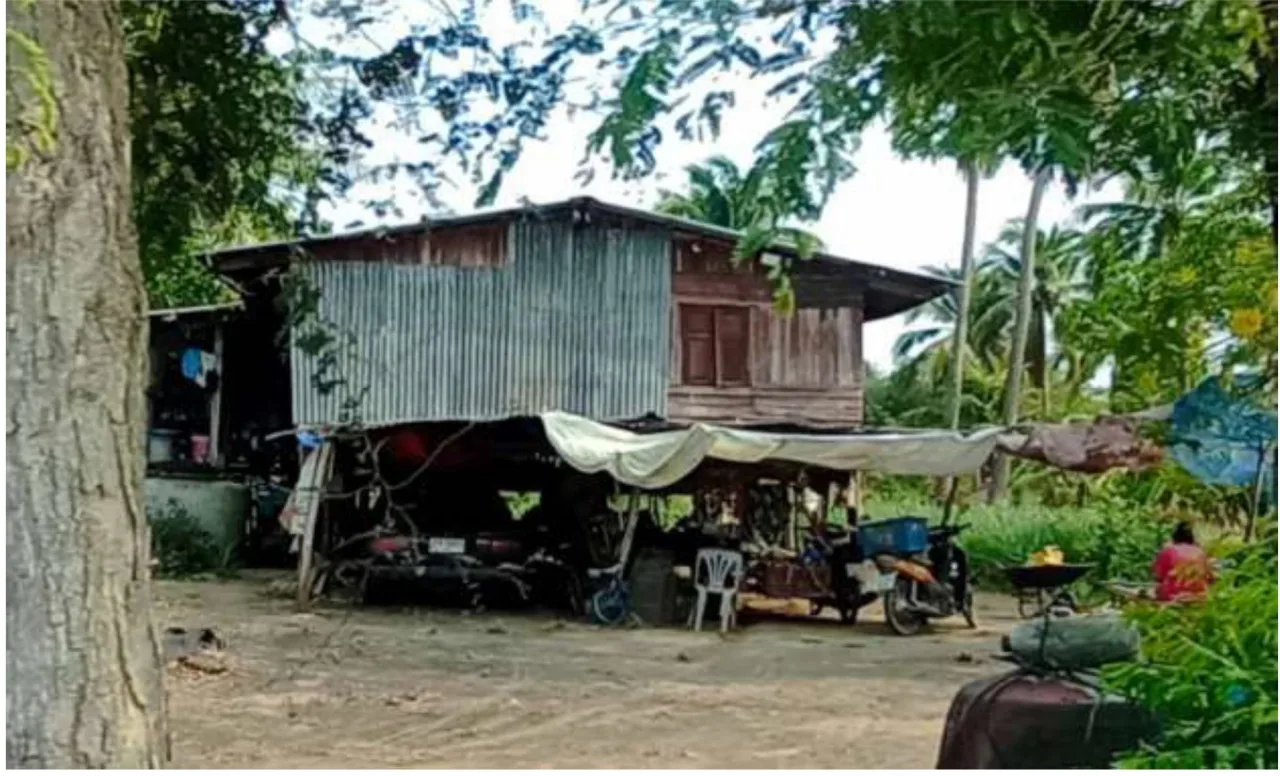 ขายทอดตลาด ที่ดินพร้อมสิ่งปลูกสร้าง ต.โคกช้าง อ.เดิมบางนางบวช จ.สุพรรณบุรี