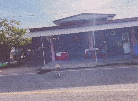 ขายทอดตลาด ที่ดินพร้อมสิ่งปลูกสร้าง ต.คำอาฮวน อ.เมืองมุกดาหาร จ.มุกดาหาร