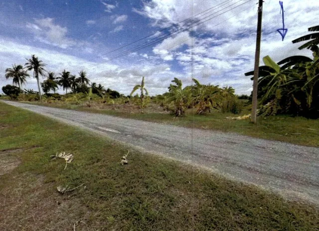ขายทอดตลาด ที่ดินว่างเปล่า ต.บ่อสุพรรณ อ.สองพี่น้อง จ.สุพรรณบุรี
