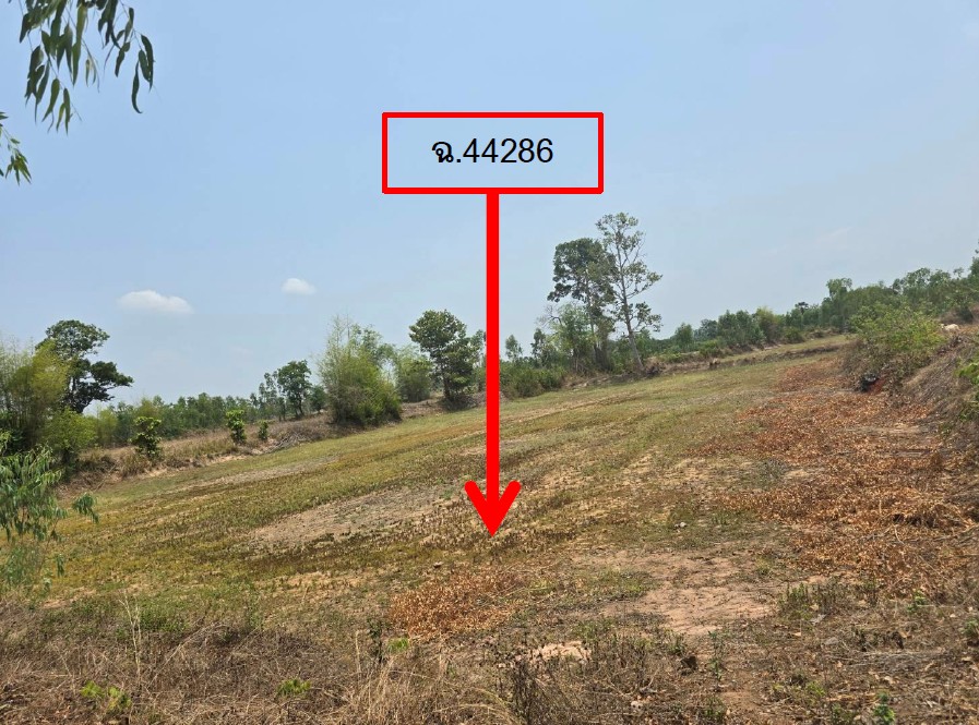 ขายทอดตลาด ที่ดินว่างเปล่า จ.ยโสธร