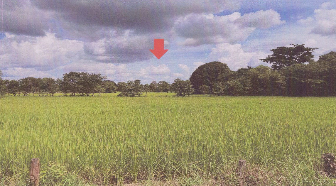 ขายทอดตลาด ที่ดินว่างเปล่า จ.มุกดาหาร