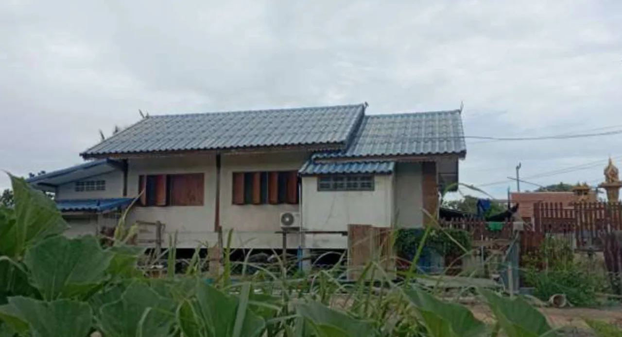 ขายทอดตลาด ที่ดินพร้อมสิ่งปลูกสร้าง ต.วังลึก อ.สามชุก จ.สุพรรณบุรี