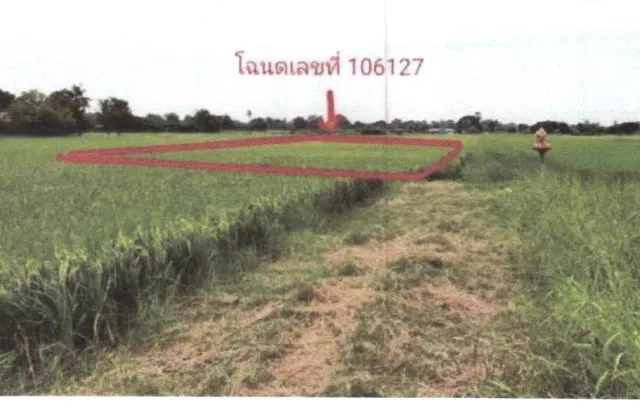 ขายทอดตลาด ที่ดินว่างเปล่า ต.บ่อกรุ อ.เดิมบางนางบวช จ.สุพรรณบุรี