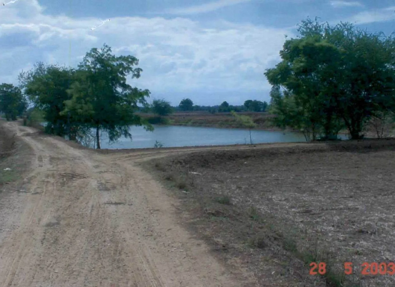 ขายทอดตลาด ที่ดินว่างเปล่า ต.บ้านโพธิ์ อ.เมืองสุพรรณบุรี จ.สุพรรณบุรี
