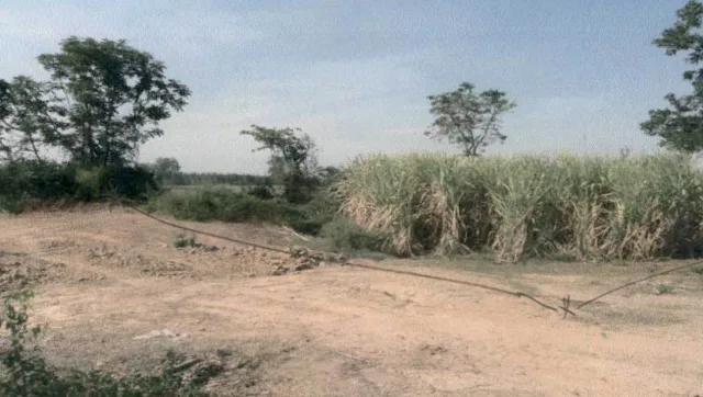 ขายทอดตลาด ที่ดินว่างเปล่า ต.สระกระโจม อ.ดอนเจดีย์ จ.สุพรรณบุรี