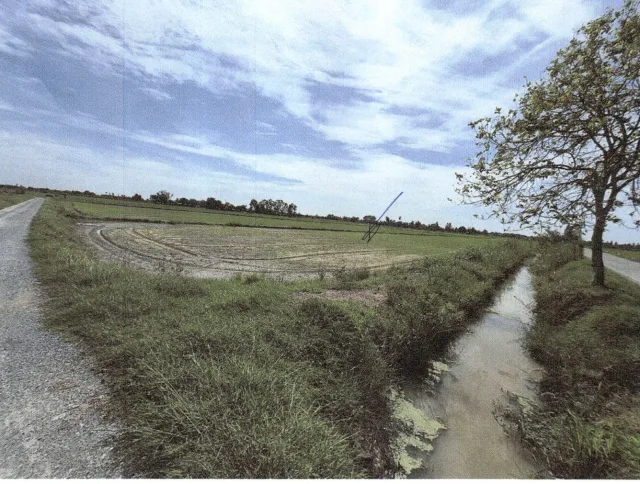 ขายทอดตลาด ที่ดินว่างเปล่า ต.ดอนเจดีย์ อ.ดอนเจดีย์ จ.สุพรรณบุรี