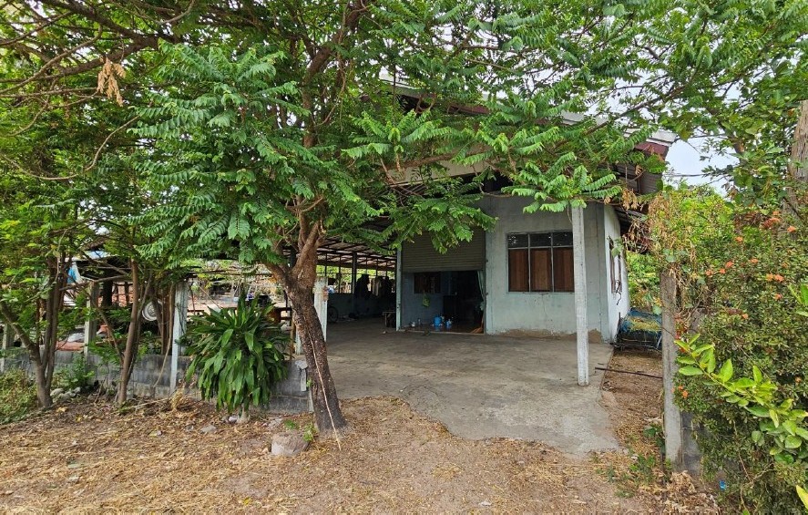 ขายทอดตลาด ที่ดินพร้อมสิ่งปลูกสร้าง ต.เดิด อ.เมืองยโสธร จ.ยโสธร