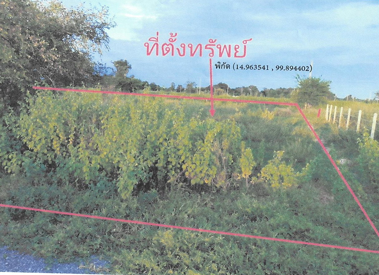 ขายทอดตลาด ที่ดินว่างเปล่า ต.เนินขาม อ.เนินขาม จ.ชัยนาท