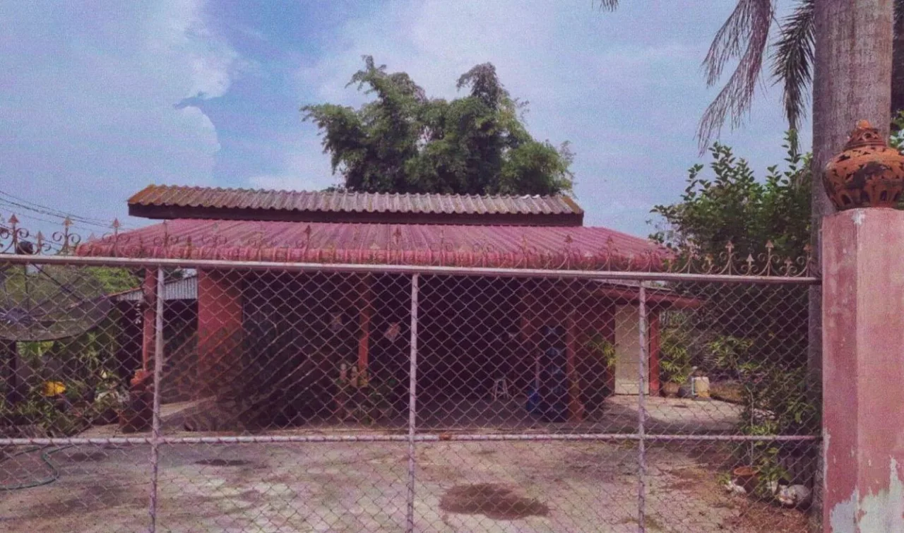 ขายทอดตลาด ที่ดินพร้อมสิ่งปลูกสร้าง ต.ป่างิ้ว อ.เวียงป่าเป้า จ.เชียงราย