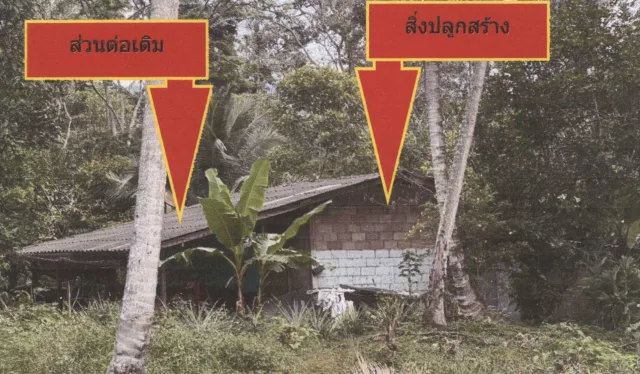 ขายทอดตลาด ที่ดินพร้อมสิ่งปลูกสร้าง ต.ลิปะน้อย อ.เกาะสมุย จ.สุราษฎร์ธานี