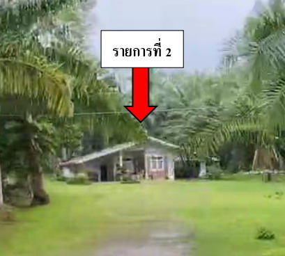 ขายทอดตลาด ที่ดินพร้อมสิ่งปลูกสร้าง ต.ท่าสะบ้า อ.วังวิเศษ จ.ตรัง