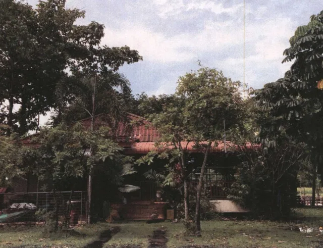 ขายทอดตลาด ที่ดินพร้อมสิ่งปลูกสร้าง ต.แม่น้ำ อ.เกาะสมุย จ.สุราษฎร์ธานี