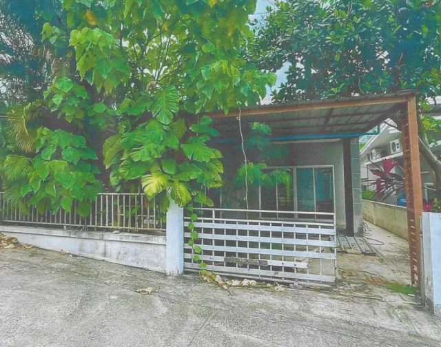 ขายทอดตลาด ที่ดินพร้อมสิ่งปลูกสร้าง ต.บ่อผุด อ.เกาะสมุย จ.สุราษฎร์ธานี